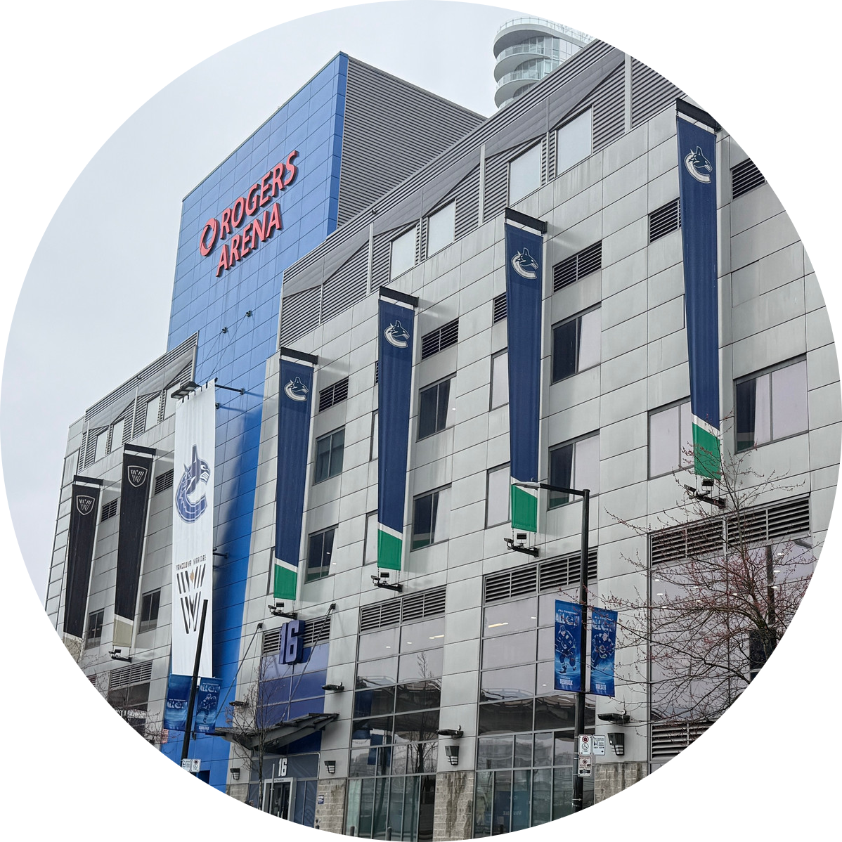 rogers-arena